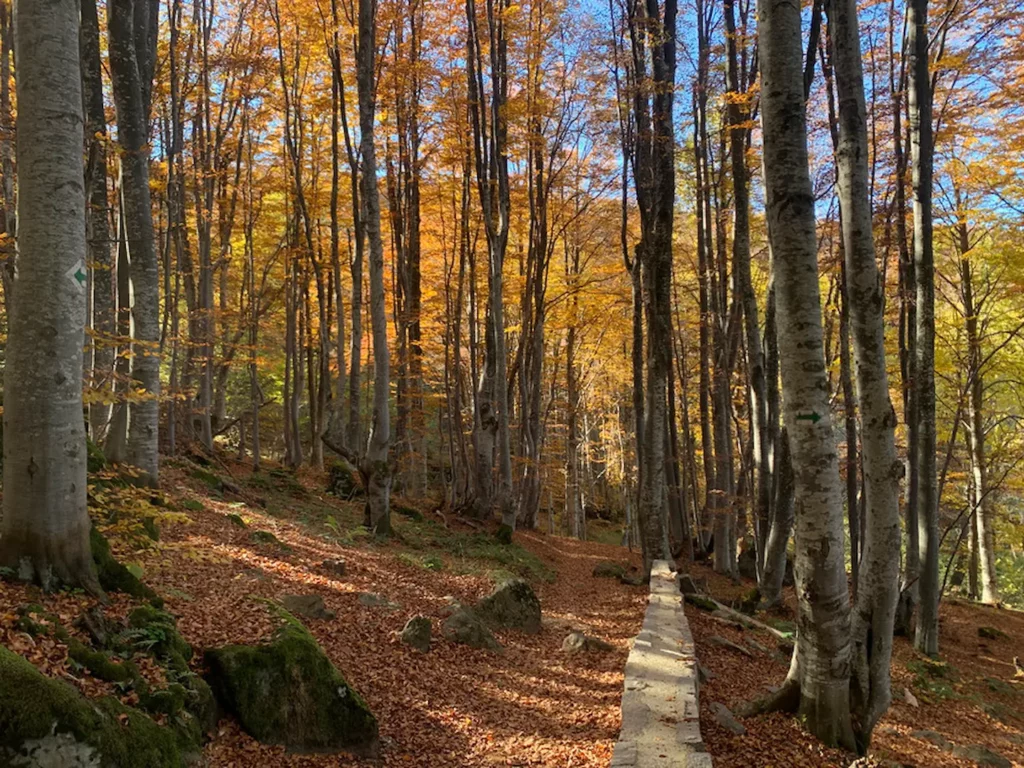 Où aller en Bulgarie - Itinéraire 10 jours