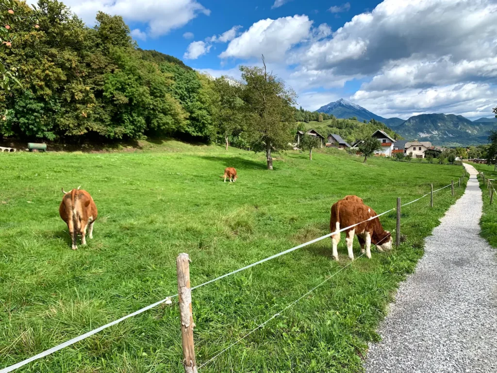 Où aller en Slovénie - Itinéraire 10 jours