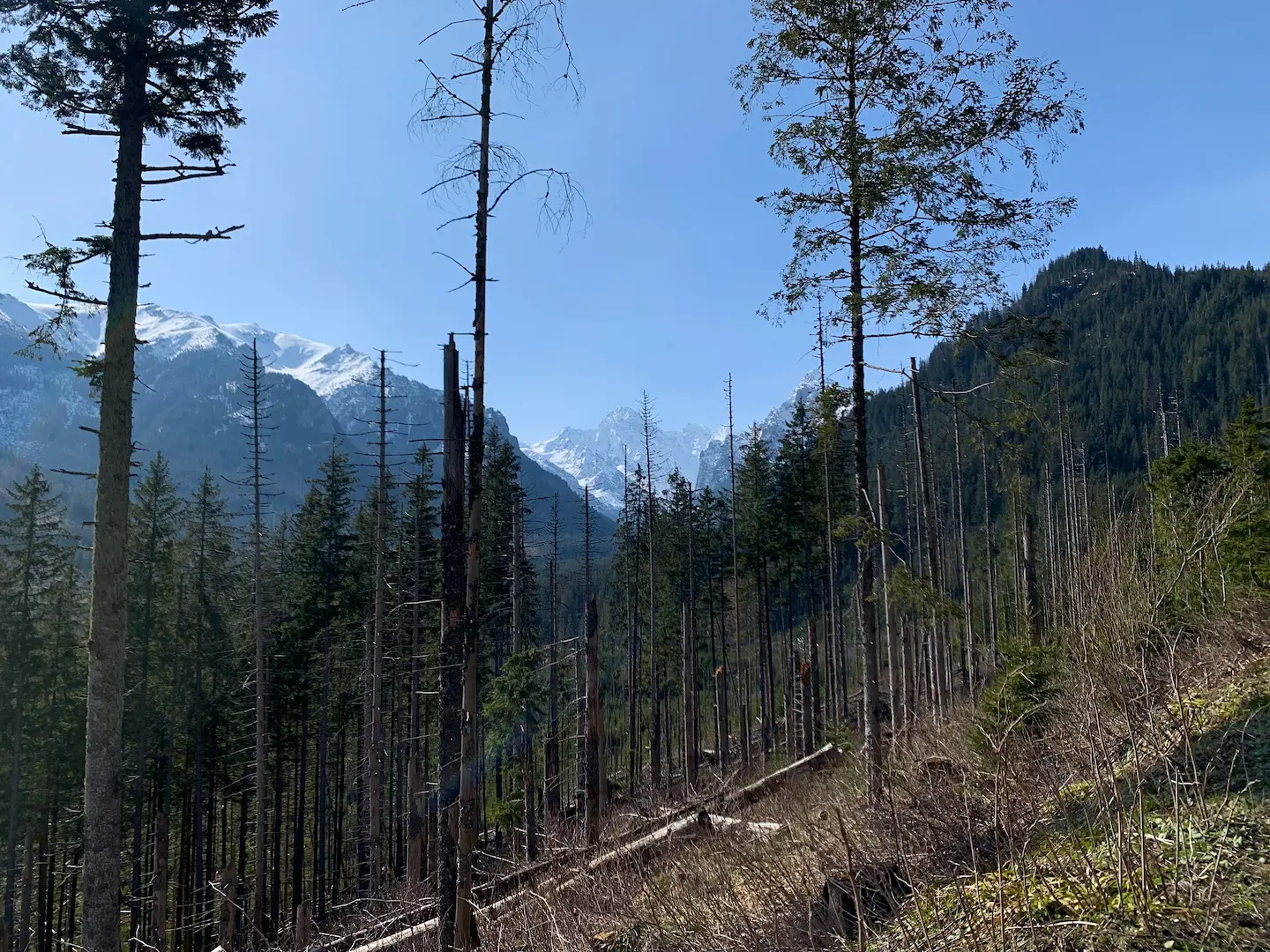 Randonner à Zakopane