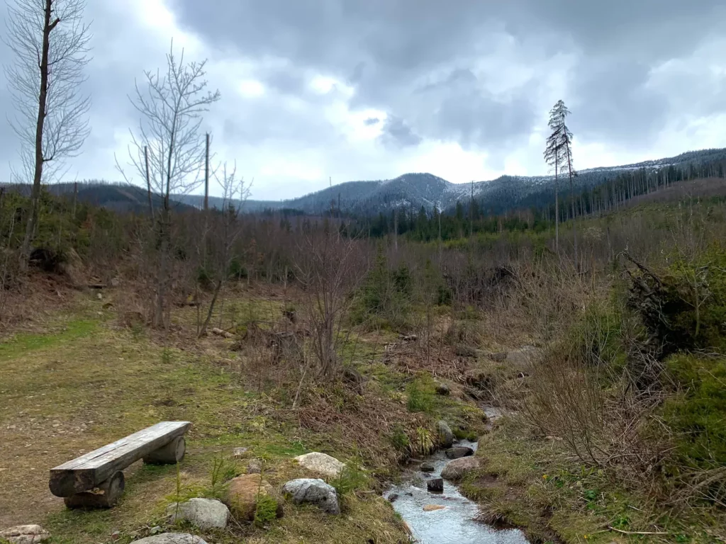 Randonner à Zakopane