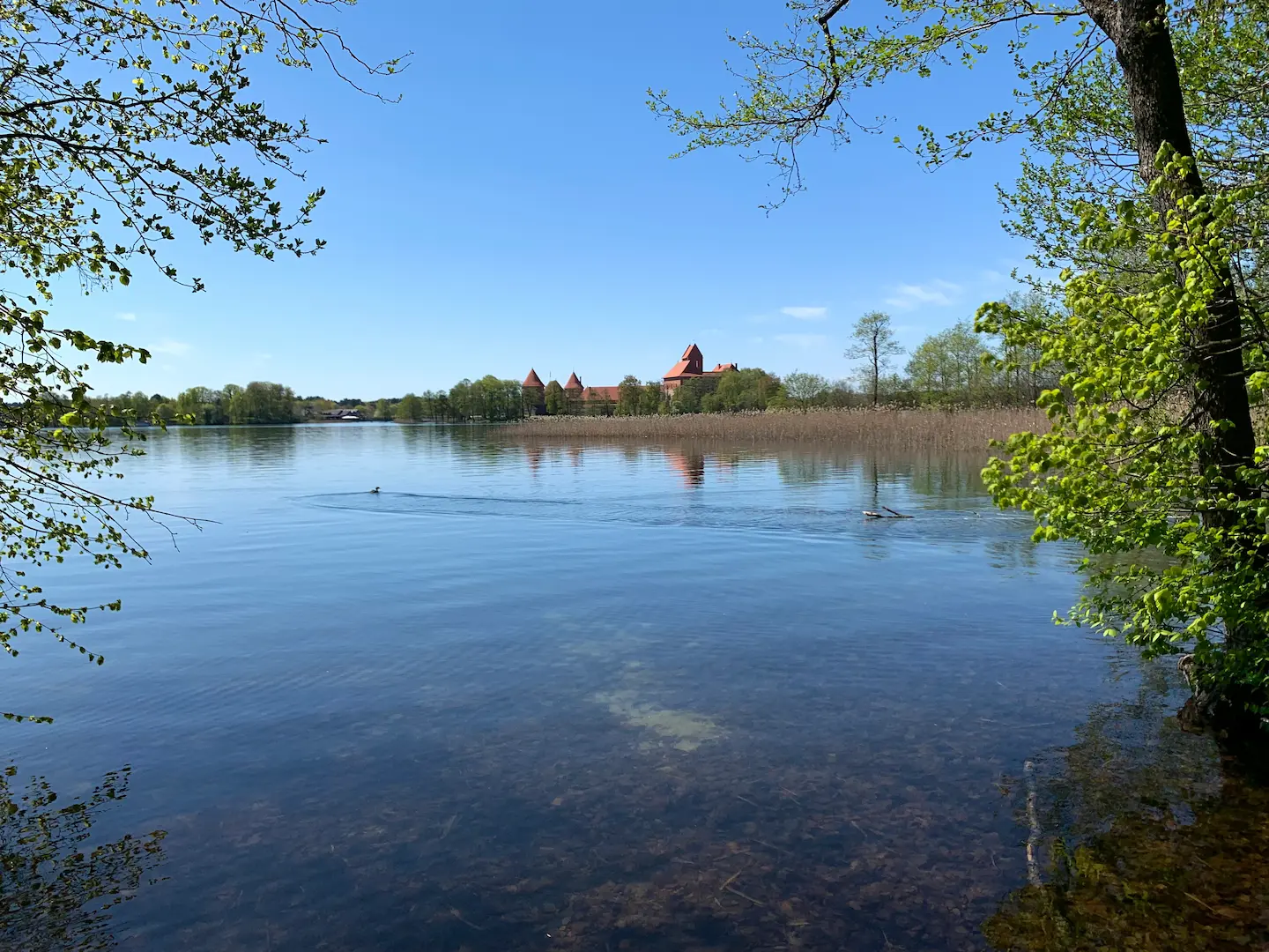 LITUANIE_TRAKAI_CHATEAU