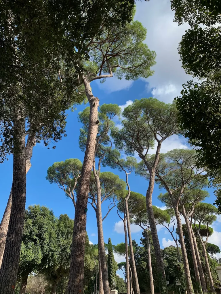 Que faire à Rome en 4 jours