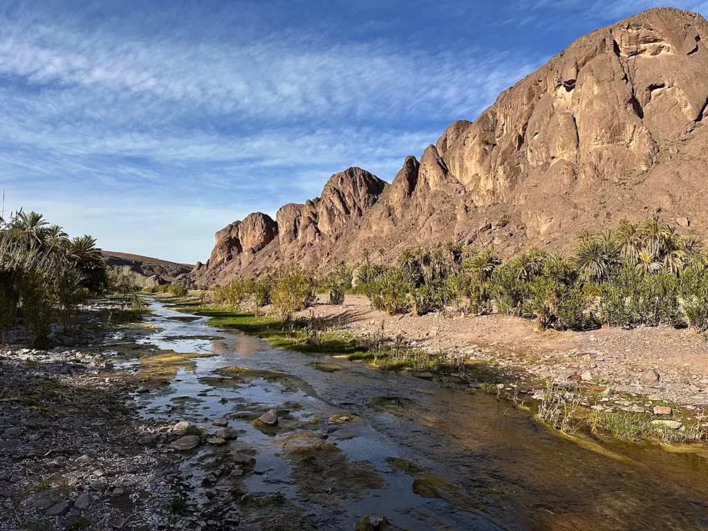 Découvrir l’oasis cachée de Ouarzazate 5 Découvrir l’oasis cachée de Ouarzazate