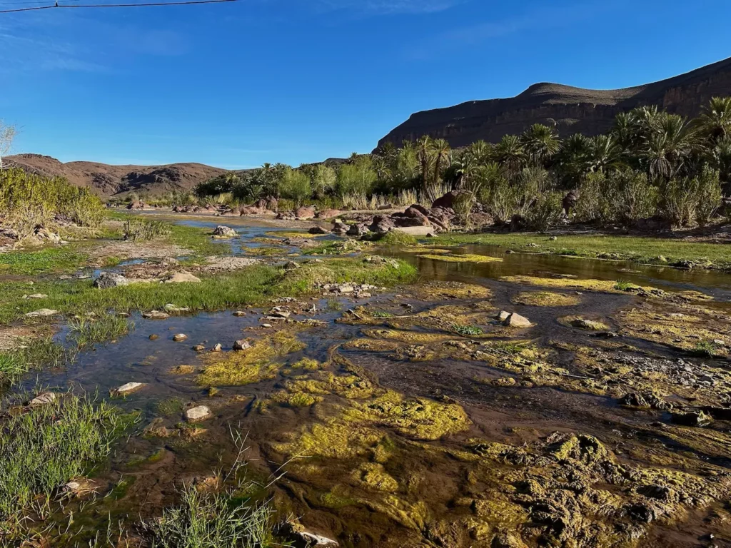 Découvrir l’oasis cachée de Ouarzazate 4 Découvrir l’oasis cachée de Ouarzazate