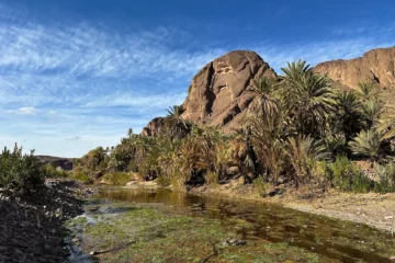 Découvrir l’oasis cachée de Ouarzazate