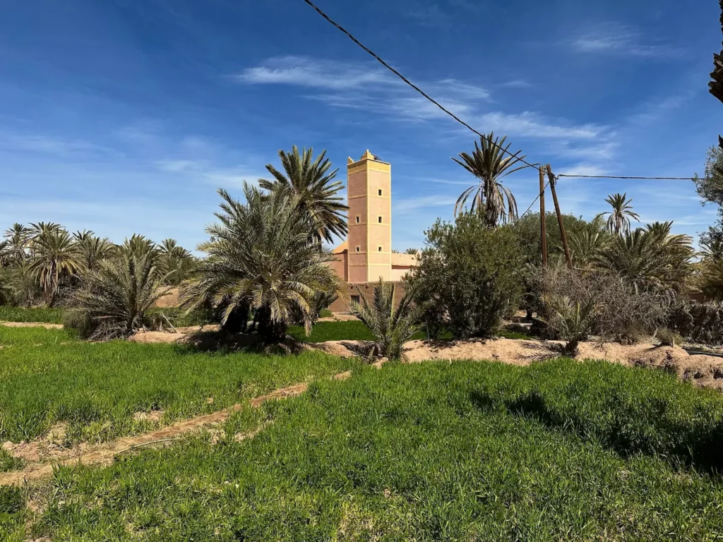 Découvrir l’oasis cachée de Ouarzazate 3 Découvrir l’oasis cachée de Ouarzazate