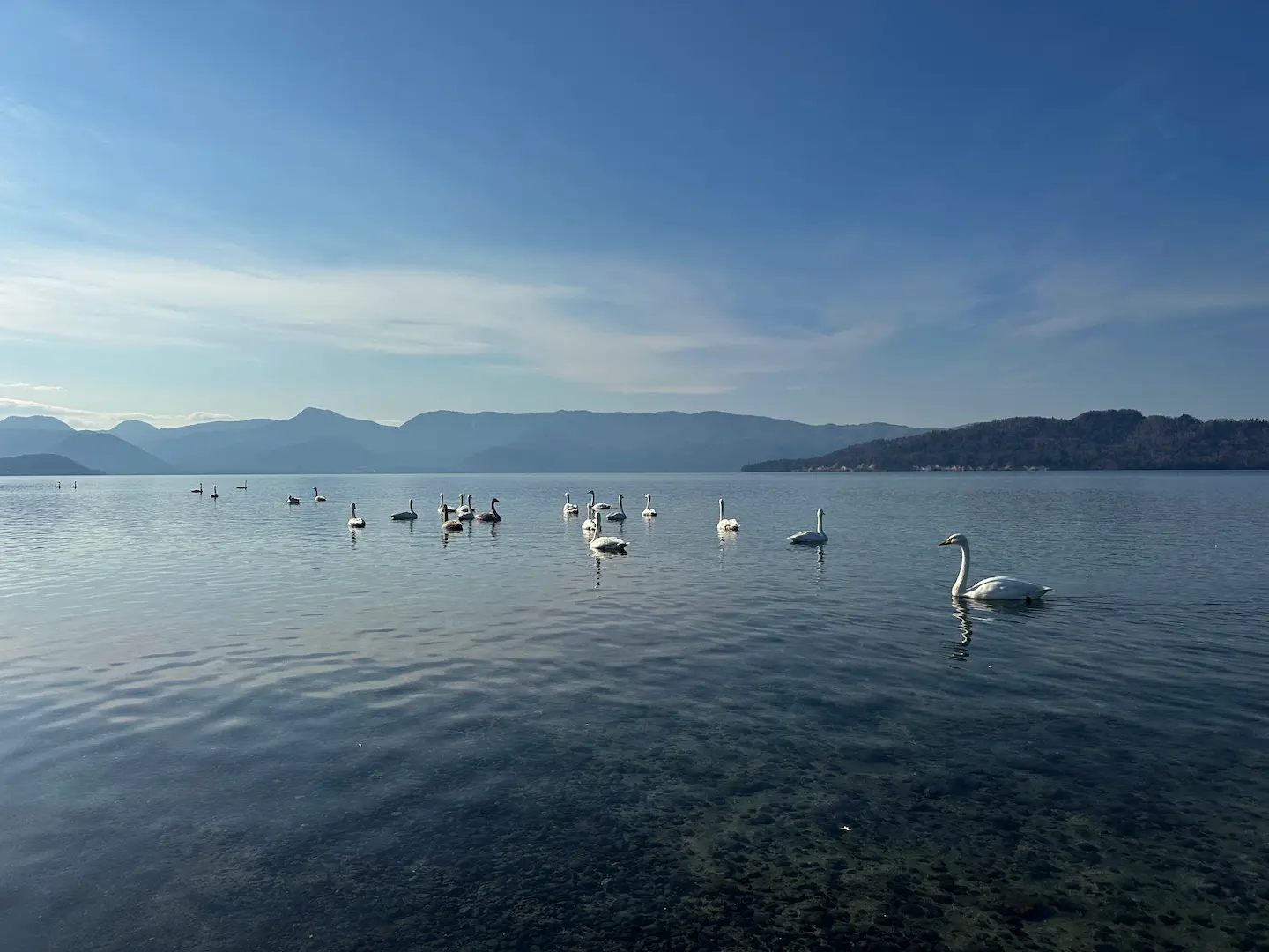 JAPON_AKAN_LAC_CIGNES