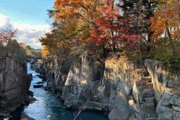 Voyager dans le Tōhoku au Japon : itinéraire 1 semaine, logements et restaurants