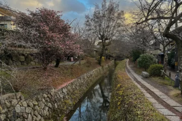 Que faire à Kyoto : 10 activités pour éviter la foule