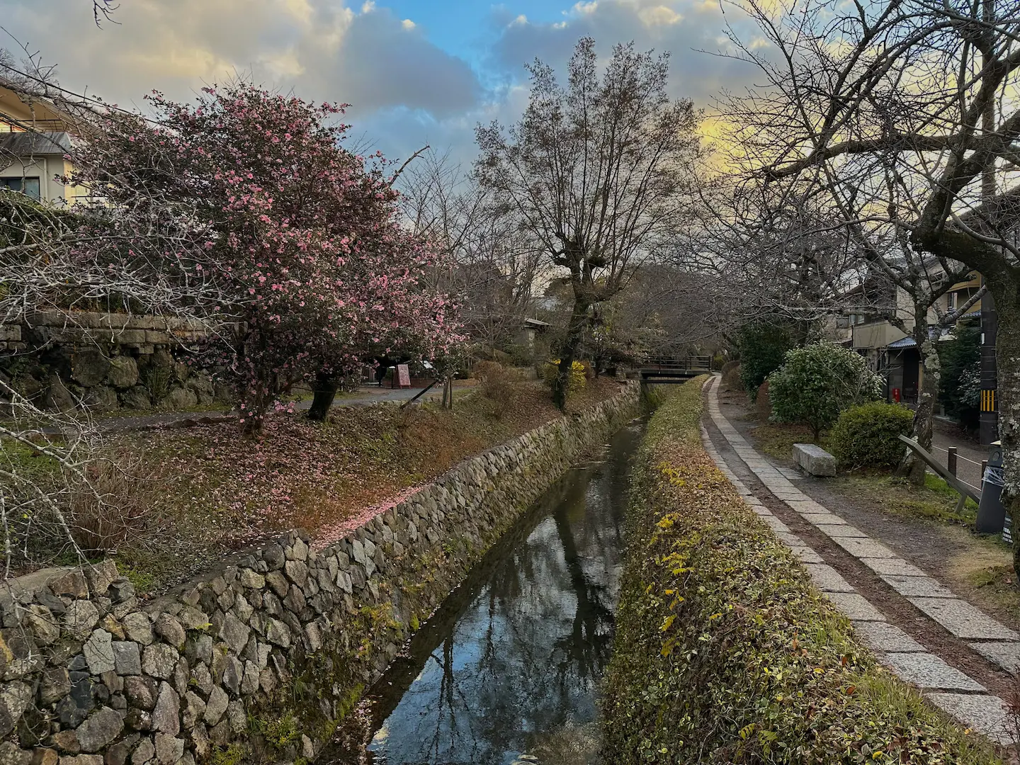 Que faire à Kyoto : 10 activités pour éviter la foule