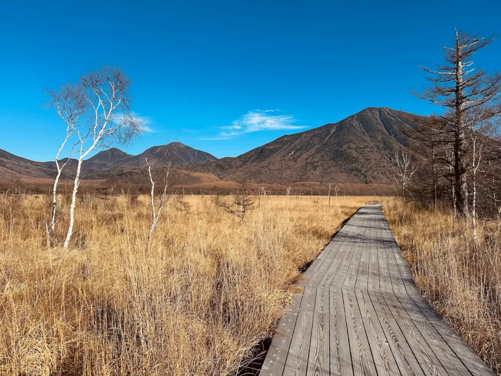 6 activités à faire à Nikko : entre temples et nature