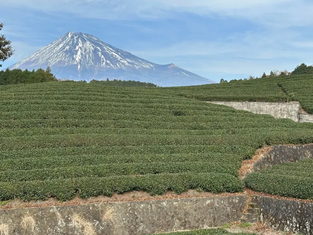 Que faire à Yamanakako, le lac au pied du Mont Fuji ?
