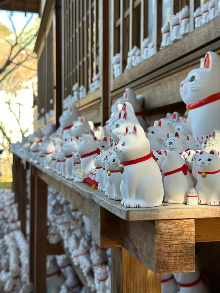 Que faire à Tokyo + où dormir : le guide complet par quartiers