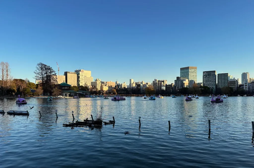 Que faire à Tokyo + où dormir : le guide complet par quartiers