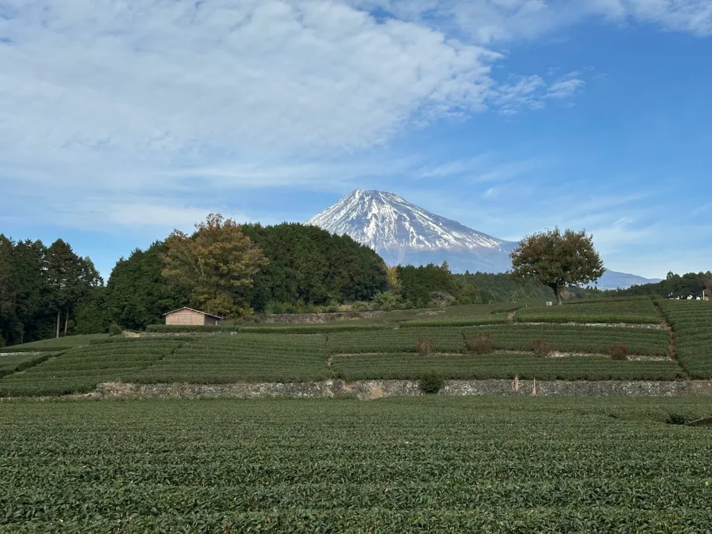 Que faire à Yamanakako, le lac au pied du Mont Fuji ?