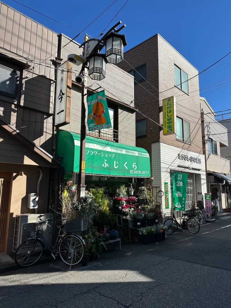 Que faire à Tokyo + où dormir : le guide complet par quartiers