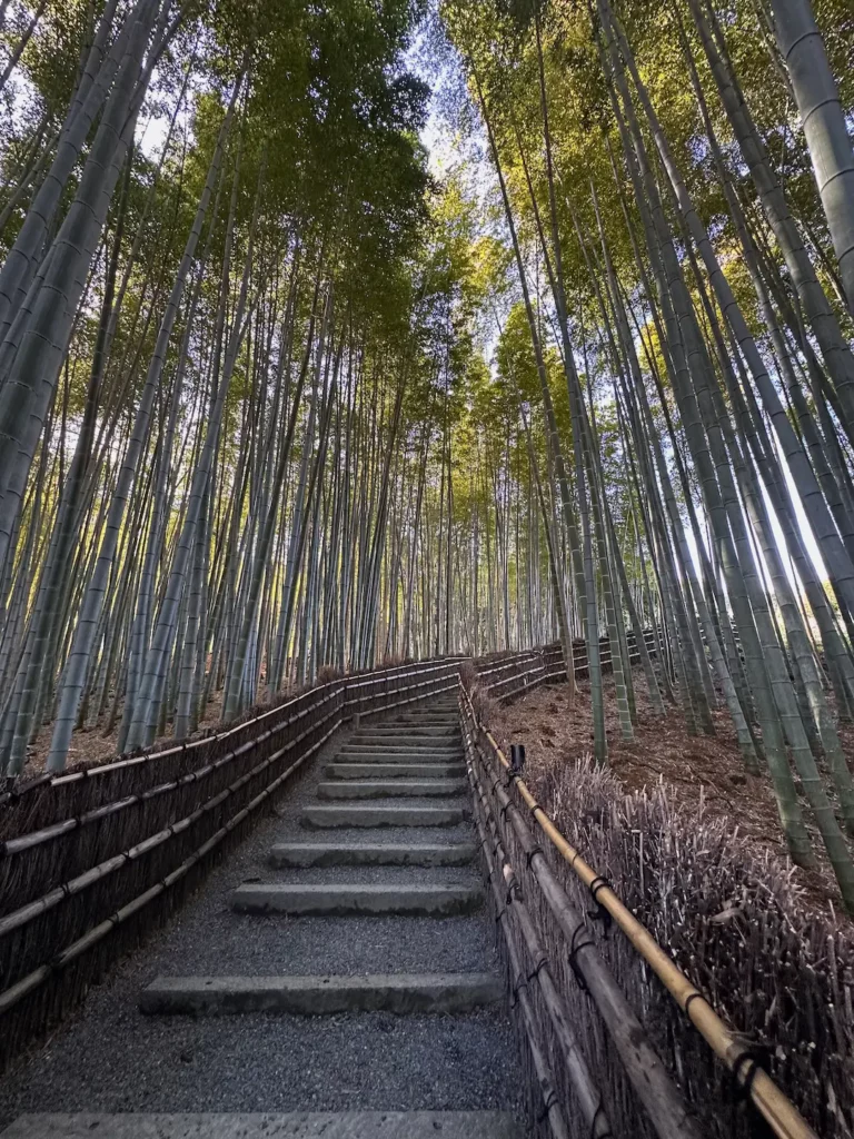 Que faire à Kyoto : 10 activités pour éviter la foule