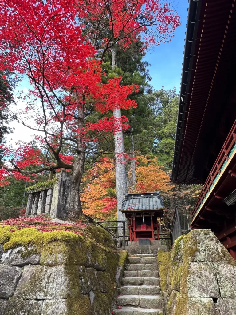 6 activités à faire à Nikko : entre temples et nature