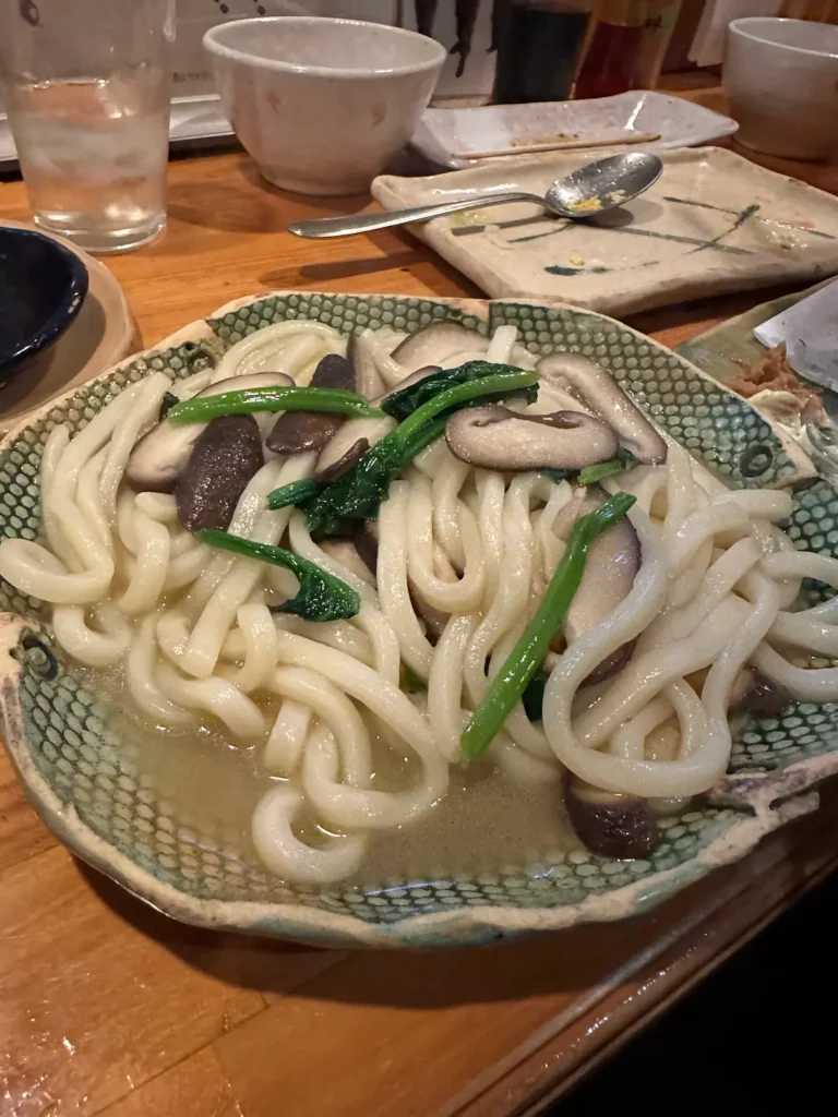JAPON NIKKO UDON