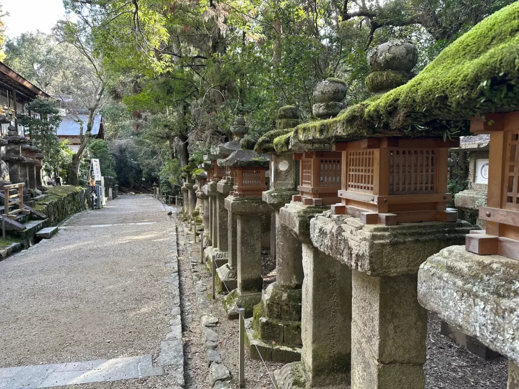 Que faire à Nara en 2 jours : 7 idées originales